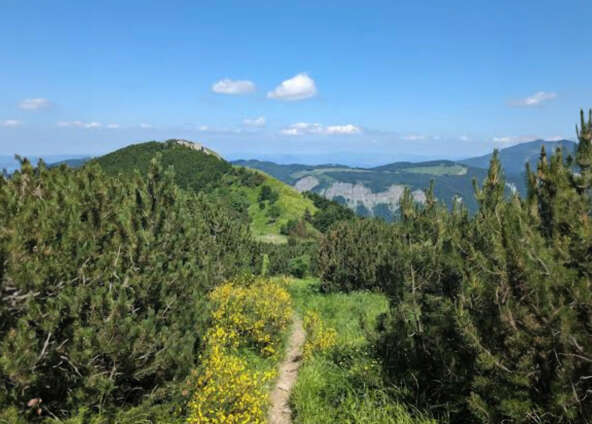 Il weekend della Grande Traversata [5-7 luglio 2024]